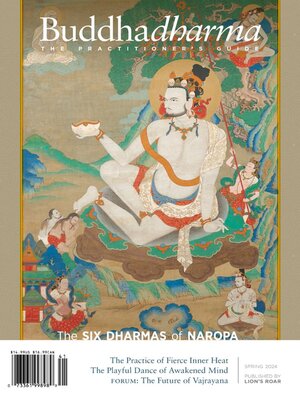 cover image of Buddhadharma: The Practitioner's Quarterly